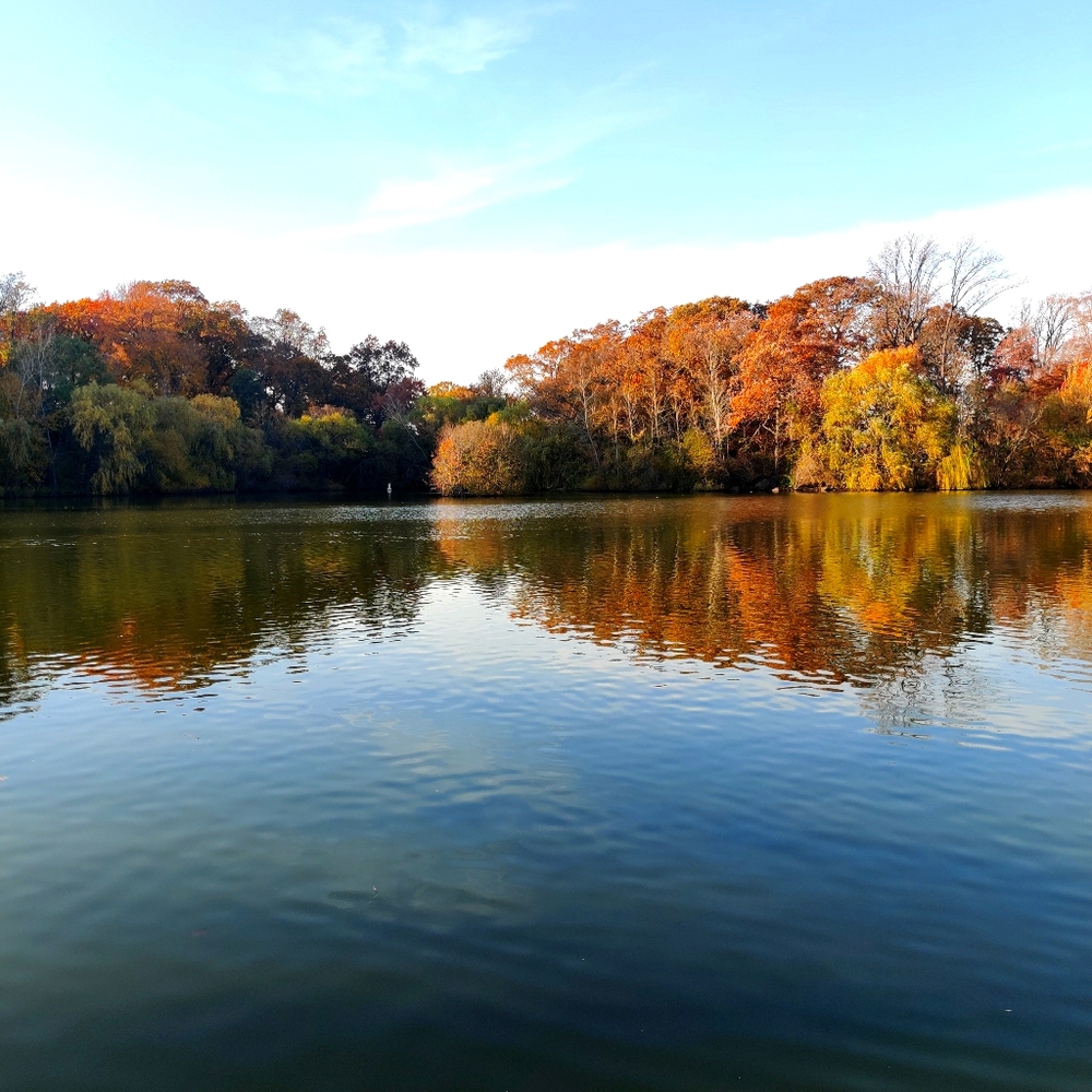 Meet your Posher, Jenn